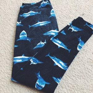 Shark Leggings